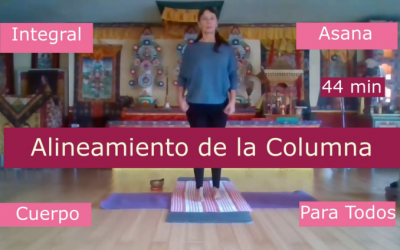 Alineamiento de Columna