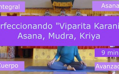 Viparita Karani: Asana, Mudra y Kriya