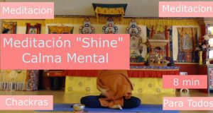 Meditación "Shine" o Calma Mental